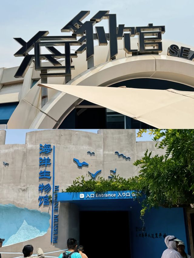 漫步於長長嘅玻璃隧道中，彷彿真正置身海底世界