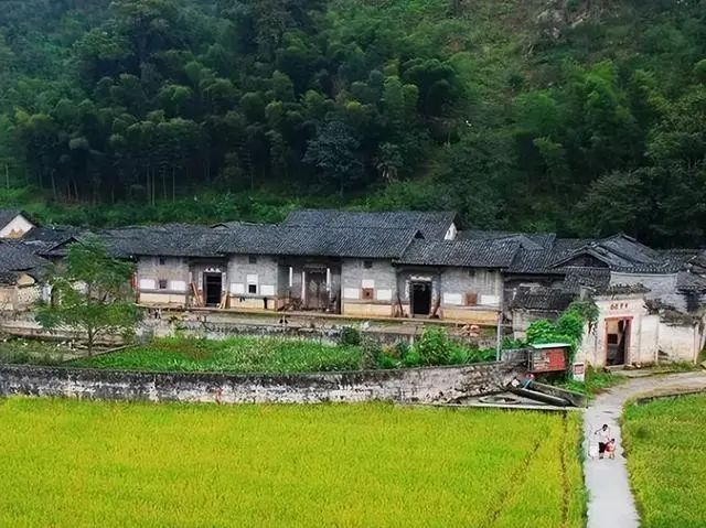 遂川紅色初心兩日遊：追尋革命足跡，品味客家風情