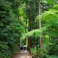 大阪隱藏版寶藏地✨箕面公園：瀑布、古寺與森林的完美邂逅