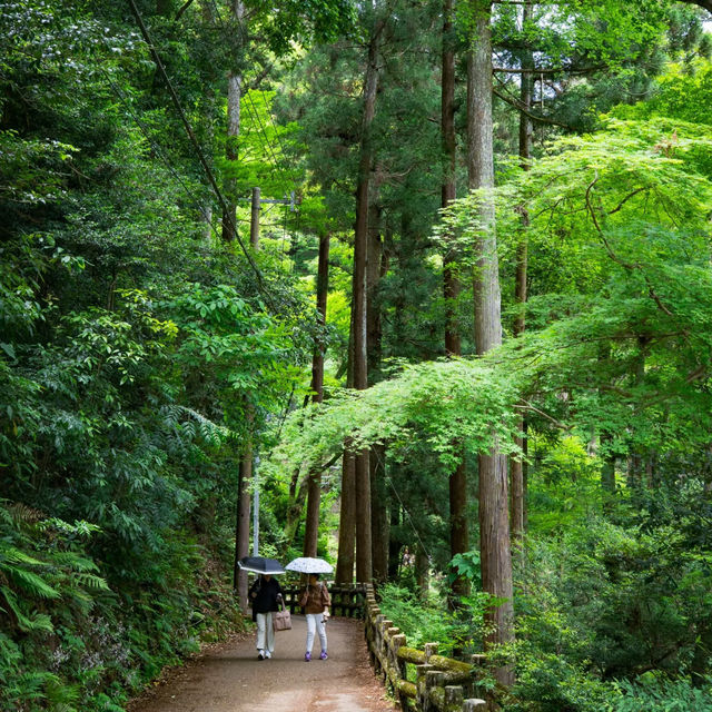 大阪隱藏版寶藏地✨箕面公園：瀑布、古寺與森林的完美邂逅