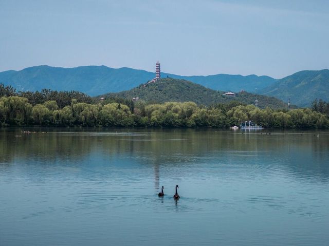 頤和園一日遊：山水畫卷中的悠閒時光