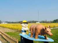 京山稻香公園保姆級攻略！坐小火車闖稻田畫，9月親子遊首選