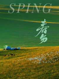 春分｜錫林郭勒的春天每一幀都美到犯規！