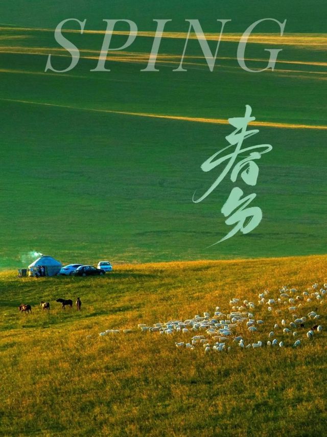 春分｜錫林郭勒的春天每一幀都美到犯規！