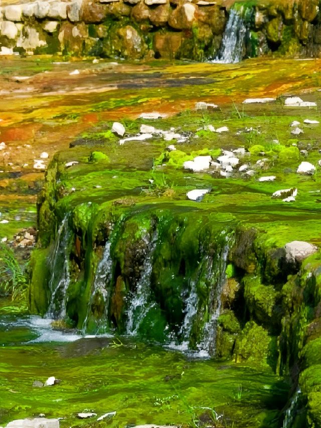 夏日必衝！20℃長白山避暑天堂，徒步穿越仙境超全指南！