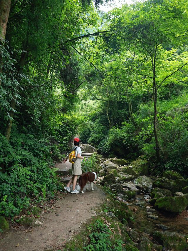 成都1h！搵到免費玩水秘境徒步路線-hello 大家好，