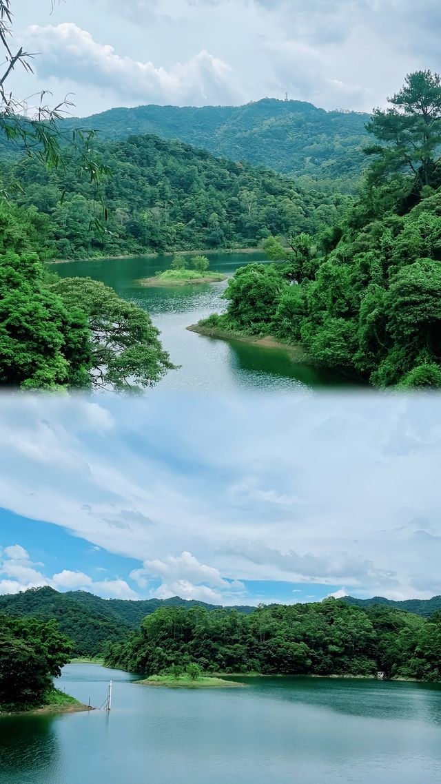 佛山必打卡！祖廟、雙皮奶、陶瓷藝術一日遊