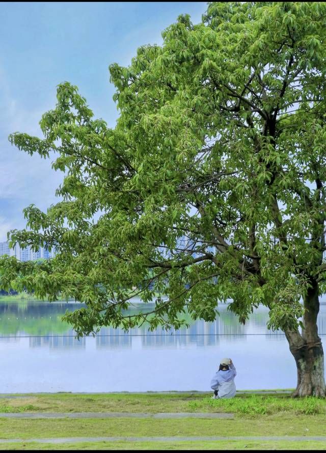 錦城湖公園 | 成都嘅城市綠肺與休閒寶地