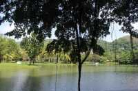 卡倫海灘度假村 | 熱帶風情與泰式風情的完美結合   地址：333 Patak Road, 