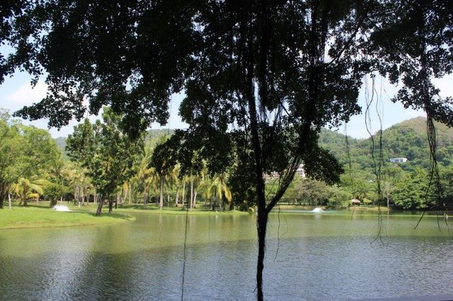 卡倫海灘度假村 | 熱帶風情與泰式風情的完美結合   地址：333 Patak Road, 