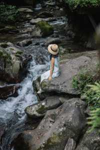 我找到了陶淵明筆下的桃花源，就在梵淨山