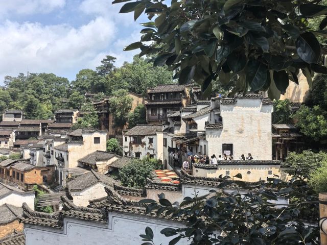 去咗4次婺源篁嶺景區，終於玩到明！