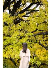 白雲白岩寨：600年布依隱世秘境