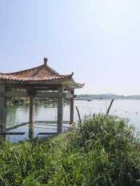 畢節金海湖公園：探秘貴州生態濕地，開啟心靈度假之旅