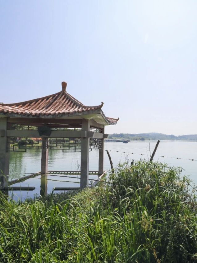 畢節金海湖公園：探秘貴州生態濕地，開啟心靈度假之旅