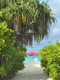 Island Paradise Awaits