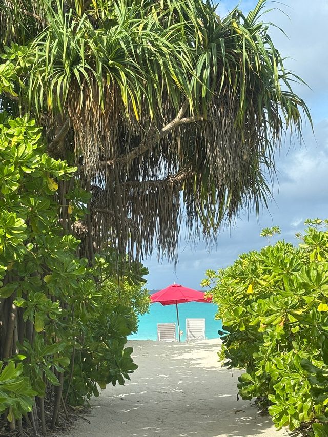 Island Paradise Awaits
