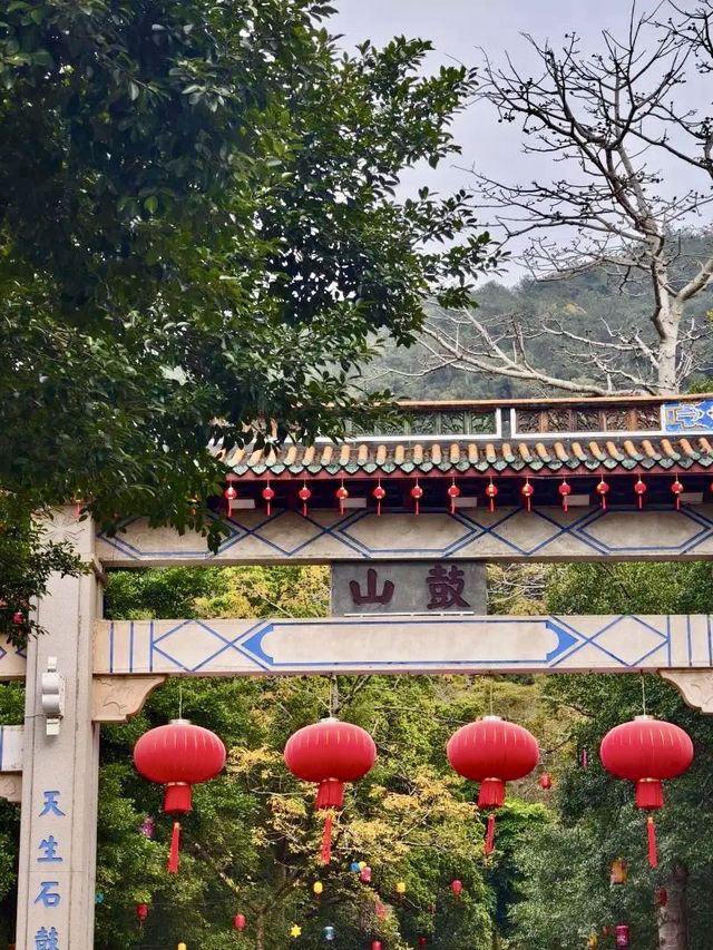 青山回響，鼓山的鐘聲與雲海