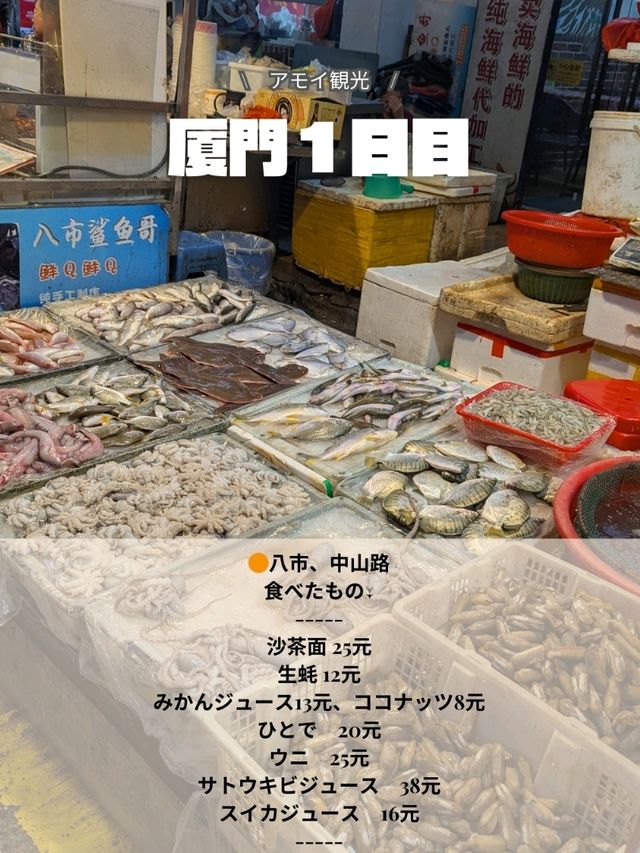 🇨🇳厦門旅行　１日目