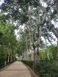 張面河畔私藏美景