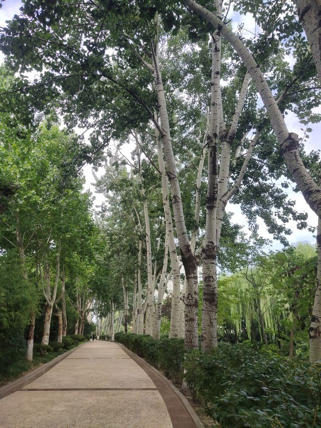張面河畔私藏美景
