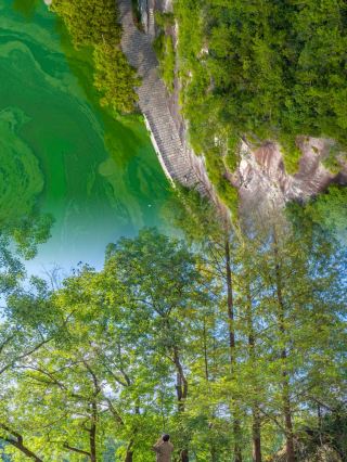 This small town is absolutely magical! A National Geographic recommended secret paradise in southern Zhejiang~