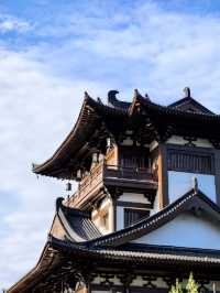 佛影悠然：金台山的禪意時光