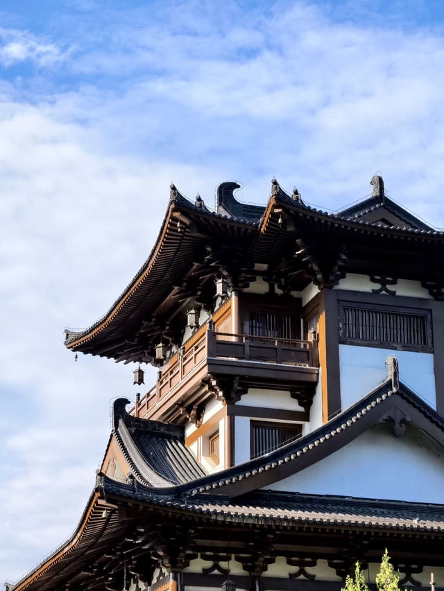 佛影悠然：金台山的禪意時光