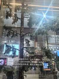 綠意無垠——塞罕壩生態科普園的自然啟示