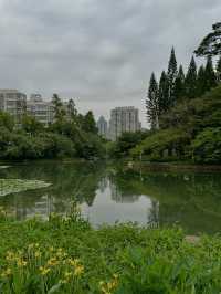 Lychee Park Shenzhen
