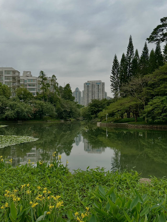 Lychee Park Shenzhen