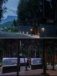 樂山秘境木屋，遭遇100%山野