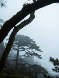 十月廬山行 | 在雲海之巔，邂逅最詩意的秋天