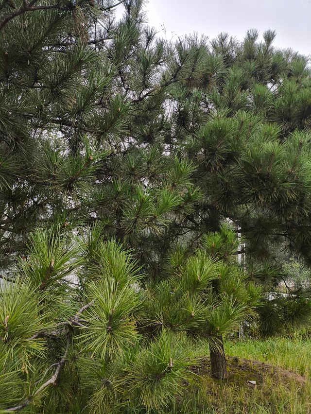 秋風起時,這些地方美成了油畫 秋風起時,這些地方美成了油畫