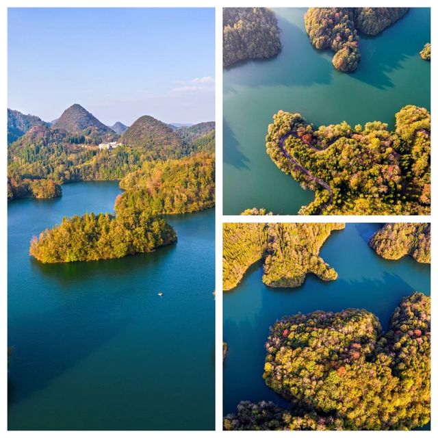 貴州百里杜鵑湖層林盡染好風光～