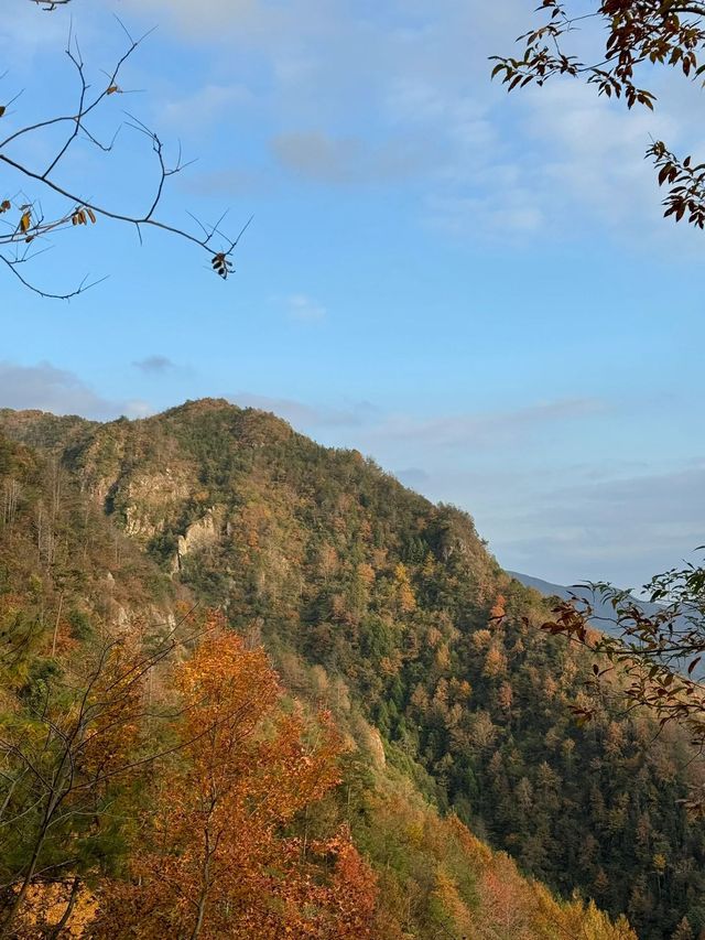 去南黃古道，抓住最後的秋天
