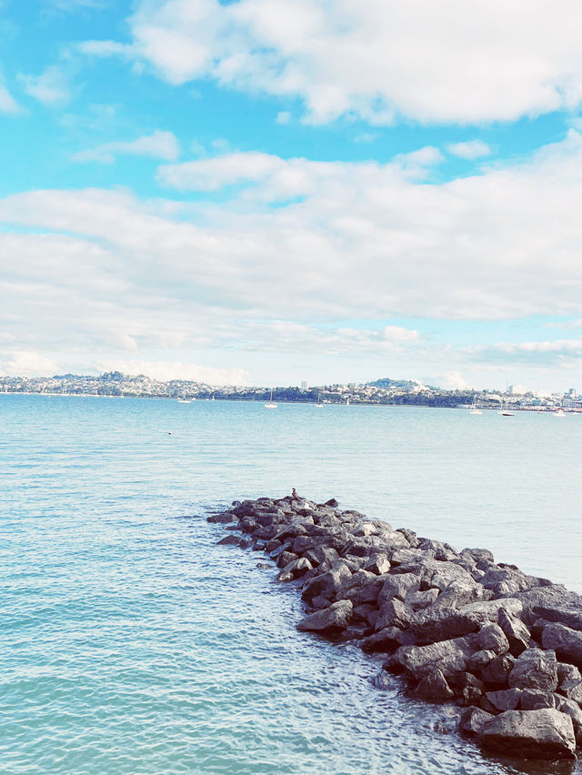 ⛵️ Devonport opposite Harbour: Auckland's Nautical Paradise in the timeless soul❤️! 🌊