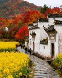 皖南保姆級攻略帶你遊玩絕美景點