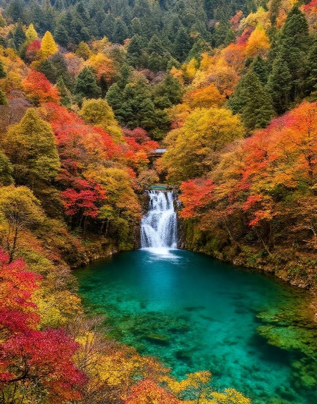 秋日賞楓絕佳秘境|10月中旬至11月中旬是賞秋黃金期