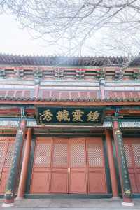 曲靖古建秋色絕美
