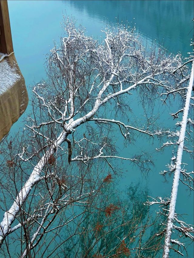 四姑娘山這波操作太浪漫！深秋的第一場雪美哭我