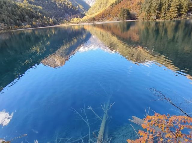 錯過等一年九寨溝的秋天，是大自然打翻的調色盤
