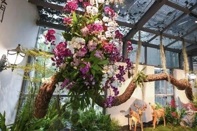 鷺島蘭宴：2025蘭展頌華章，雅韻伴旅居