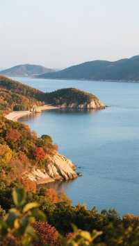 #西山島桂花綻放 【蘇州西山島·秋日慢生活兩日遊攻略】 位於太湖中央的西山島,是江南最大的淡水島,四