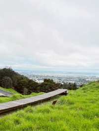 Meadow Magic Auckland🌱🌋 Mount Eden Lookout: Auckland's Ultimate 360° View!