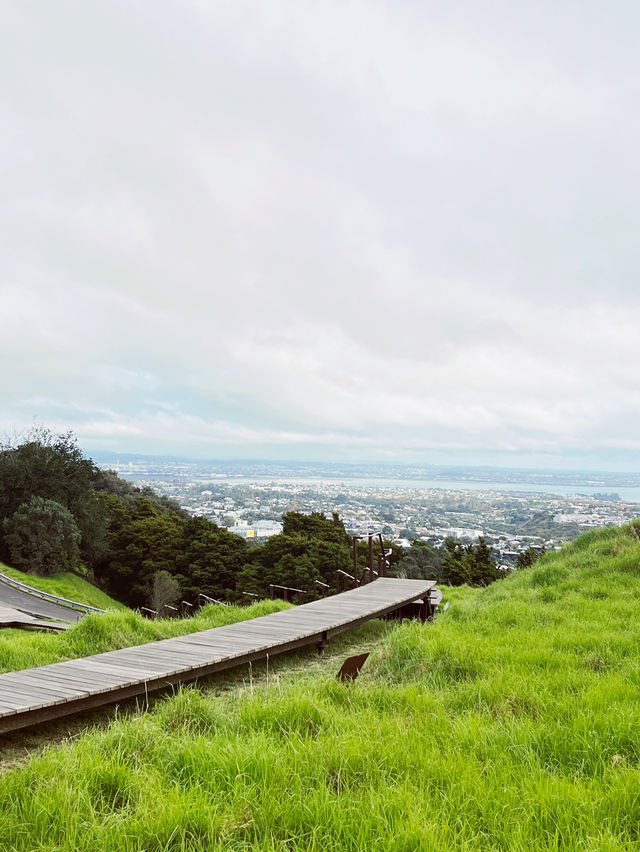 Meadow Magic Auckland🌱🌋 Mount Eden Lookout: Auckland's Ultimate 360° View!