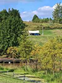 注意!這不是油畫,而是成都的彩色秋天!
