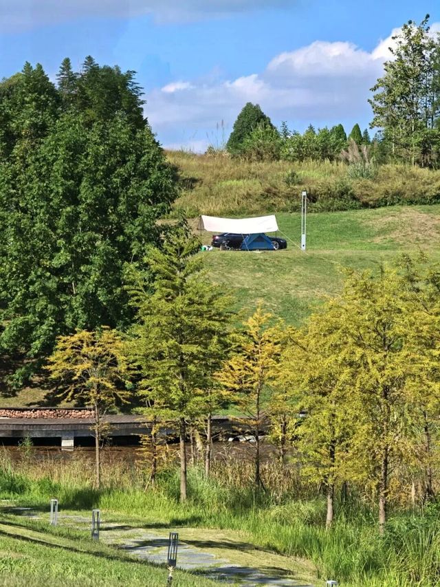 注意!這不是油畫,而是成都的彩色秋天! 注意!這不是油畫,而是成都的彩色秋天!