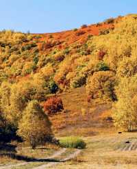 河北私藏!張北壩上3天2夜攻略,解鎖草原自由與避坑指南