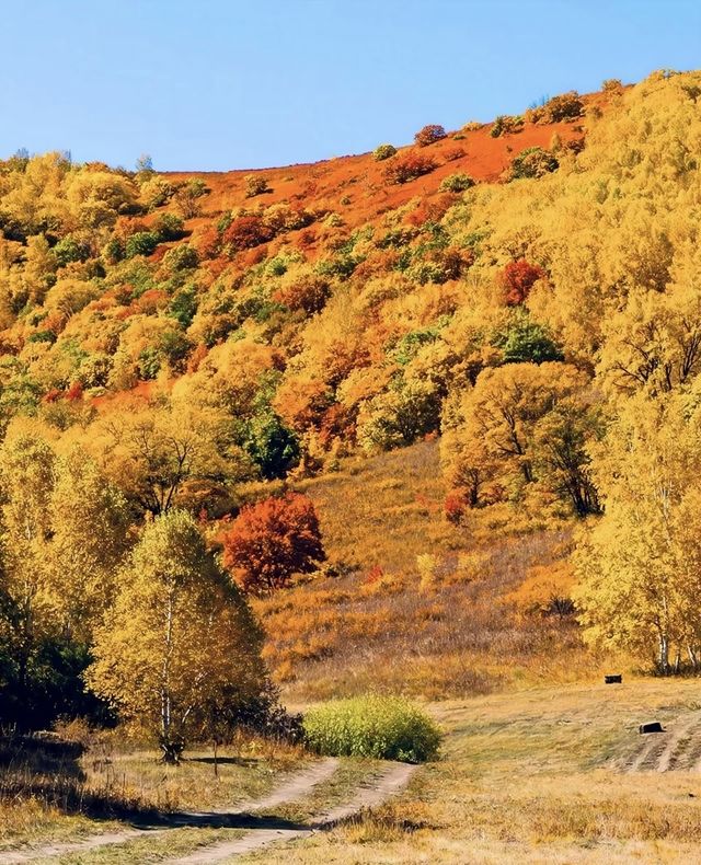 河北私藏!張北壩上3天2夜攻略,解鎖草原自由與避坑指南 河北私藏!張北壩上3天2夜攻略,解鎖草原自由與避坑指南